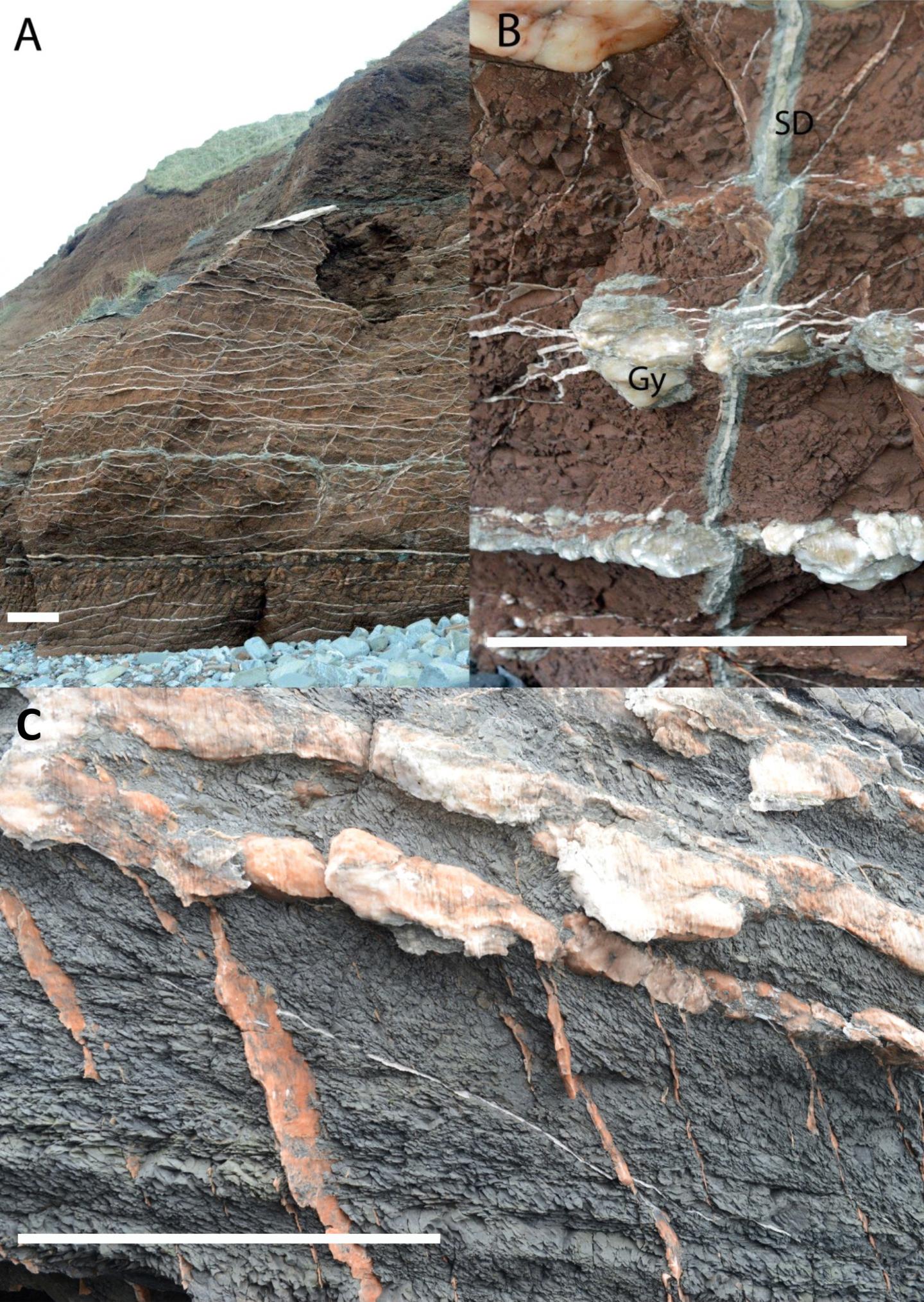 Watchet Bay Cliff Outcrops on the N. Somerset Coast, UK