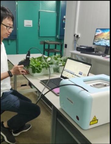 Portable leaf-clip Raman sensor being used at TLL to detect nutrient stress in leafy vegetables