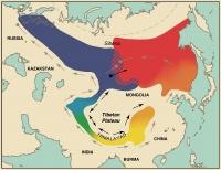 Map of An Epic Genetic Evolution