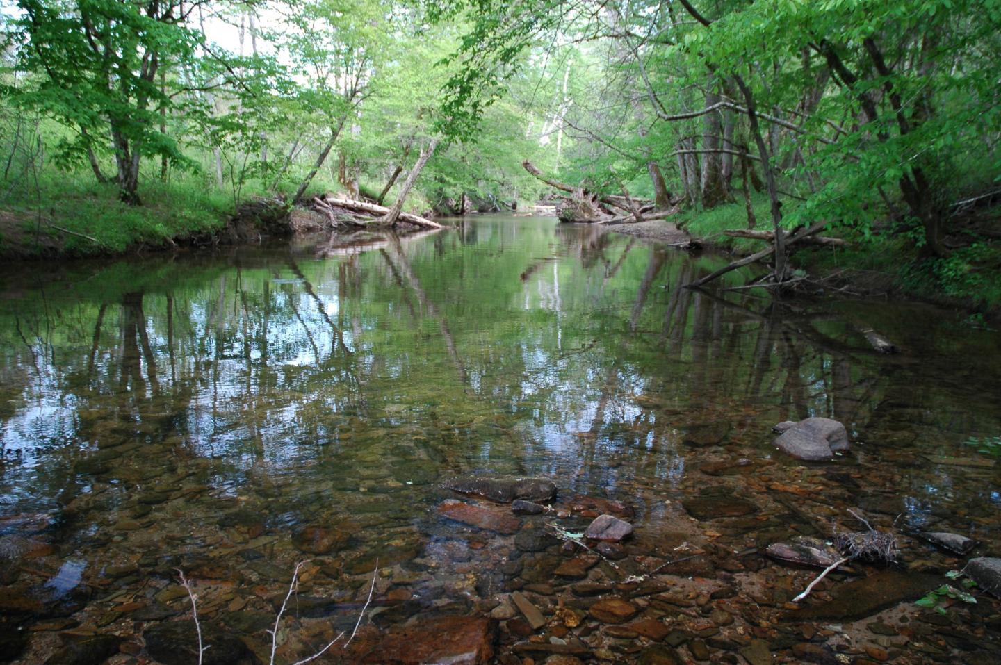 Streams in the Smoky Mountains