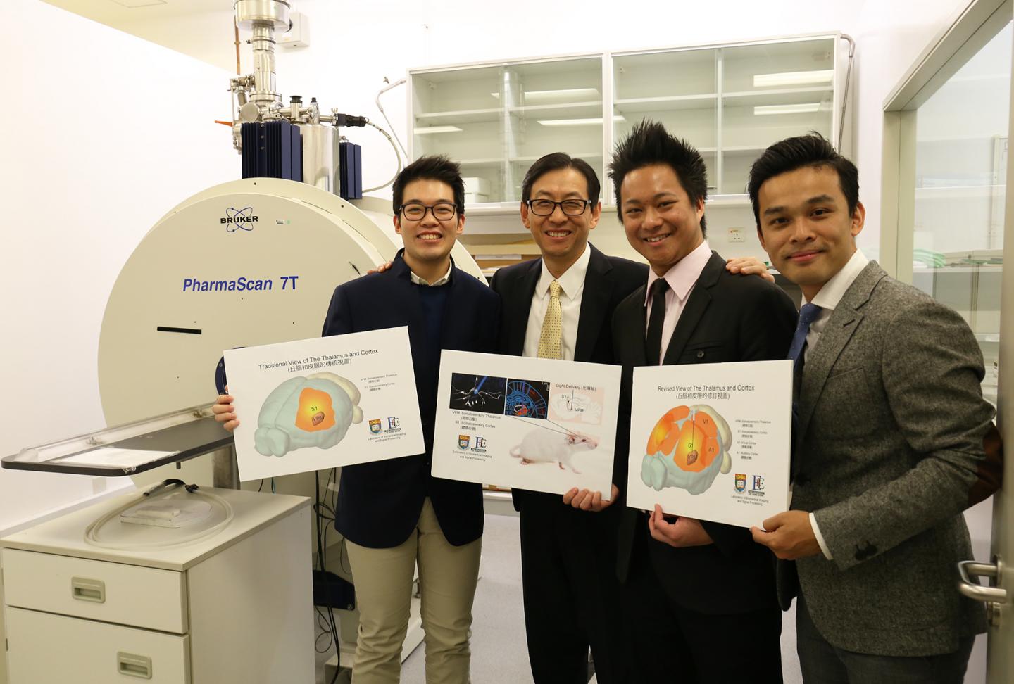 HKU Scientists Utilize Innovative Neuroimaging Approach  to Unravel Complex Brain Networks