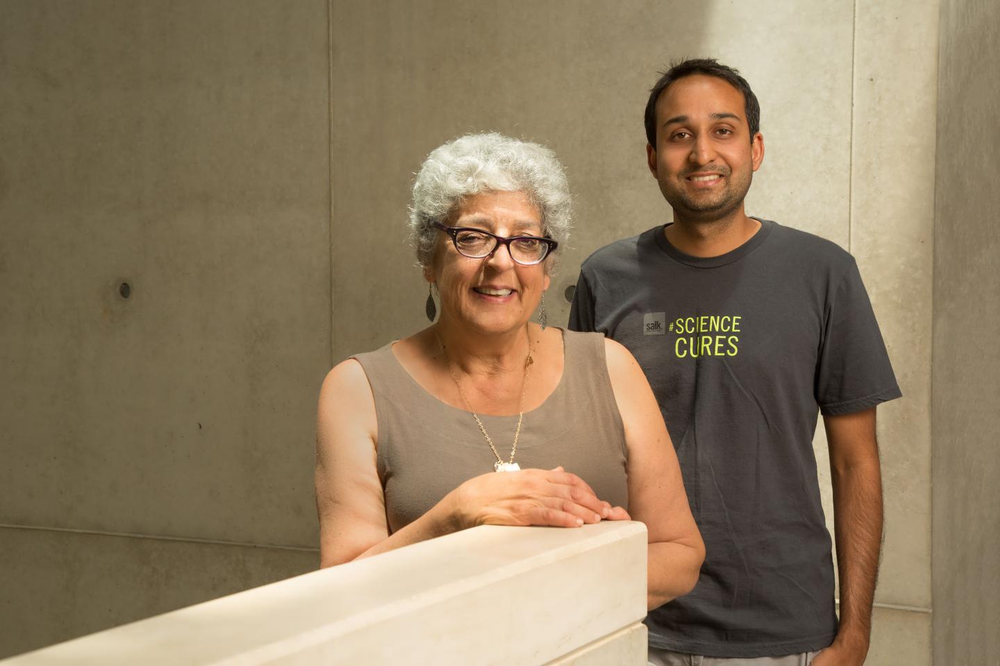 Joanne Chory and Saket Navlakha, Salk Institute 