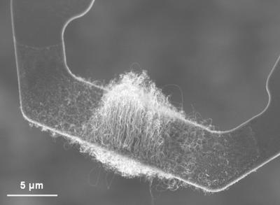 AFM cantilever with carbon nanotubes