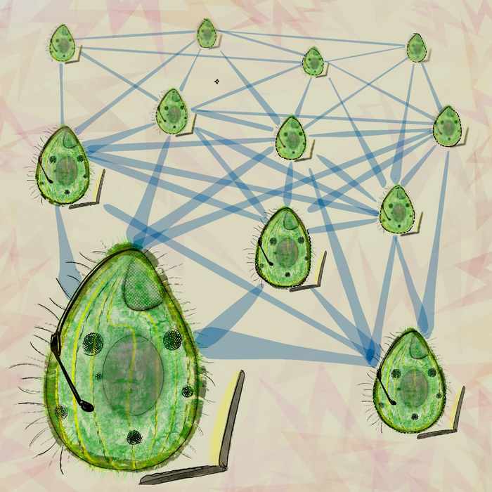 Networking microorganisms