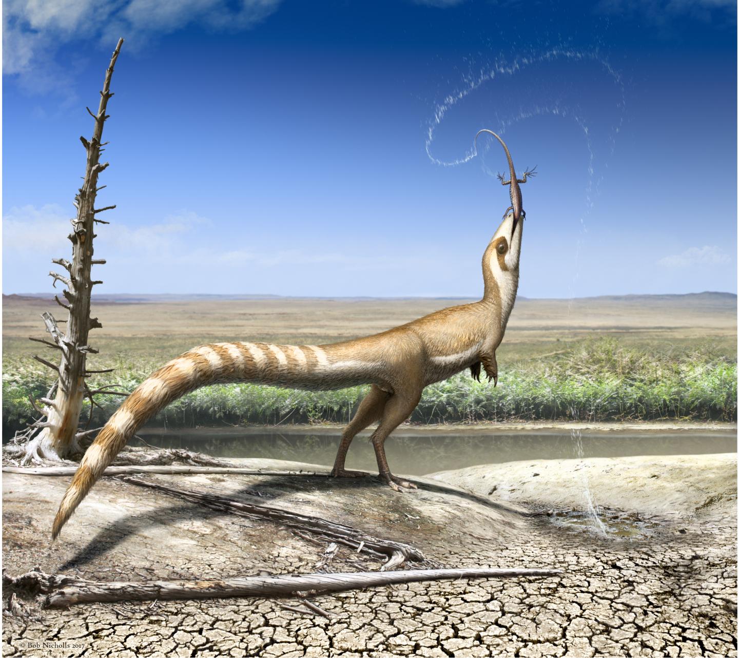 <i>Sinosauropteryx</i> in the Likely Open Habitat