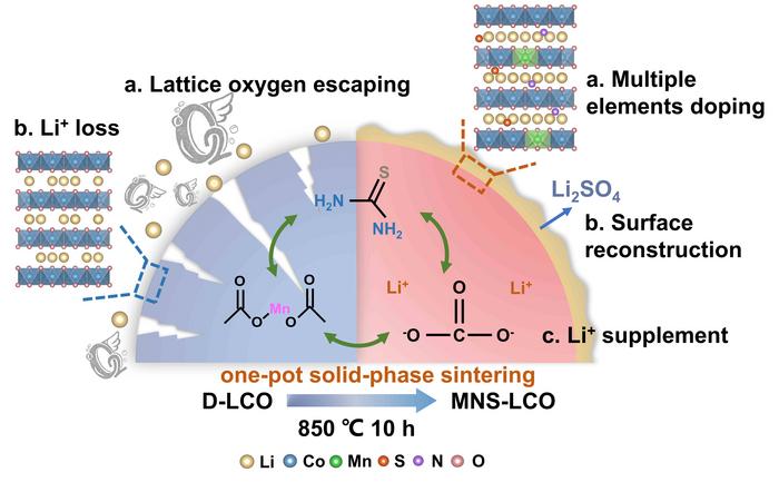 Researchers Achieve High-Performance Lithium-Ion Batteries through Upcycling of Degraded LiCoO2 Cathodes