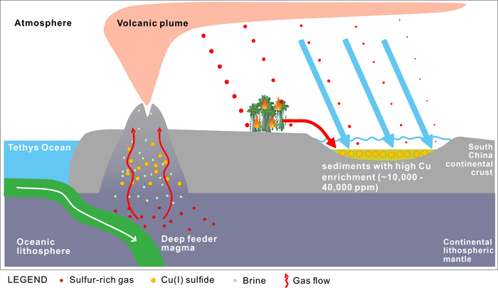 Schematic showing the formation process of copper-rich deposits within the EPME interval in South China
