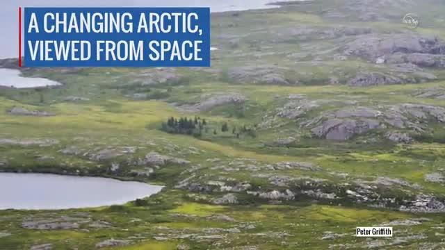 NASA Studies Details of a Greening Arctic