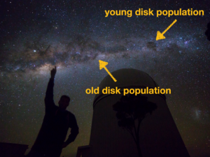 Milky Way star populations