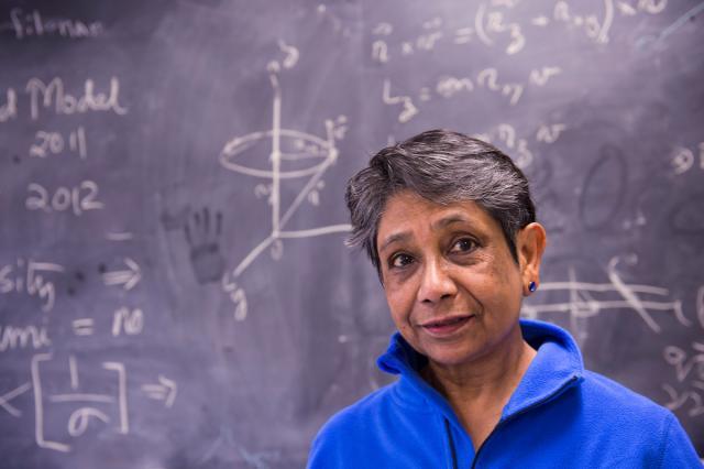 Usha Mallik, University of Iowa