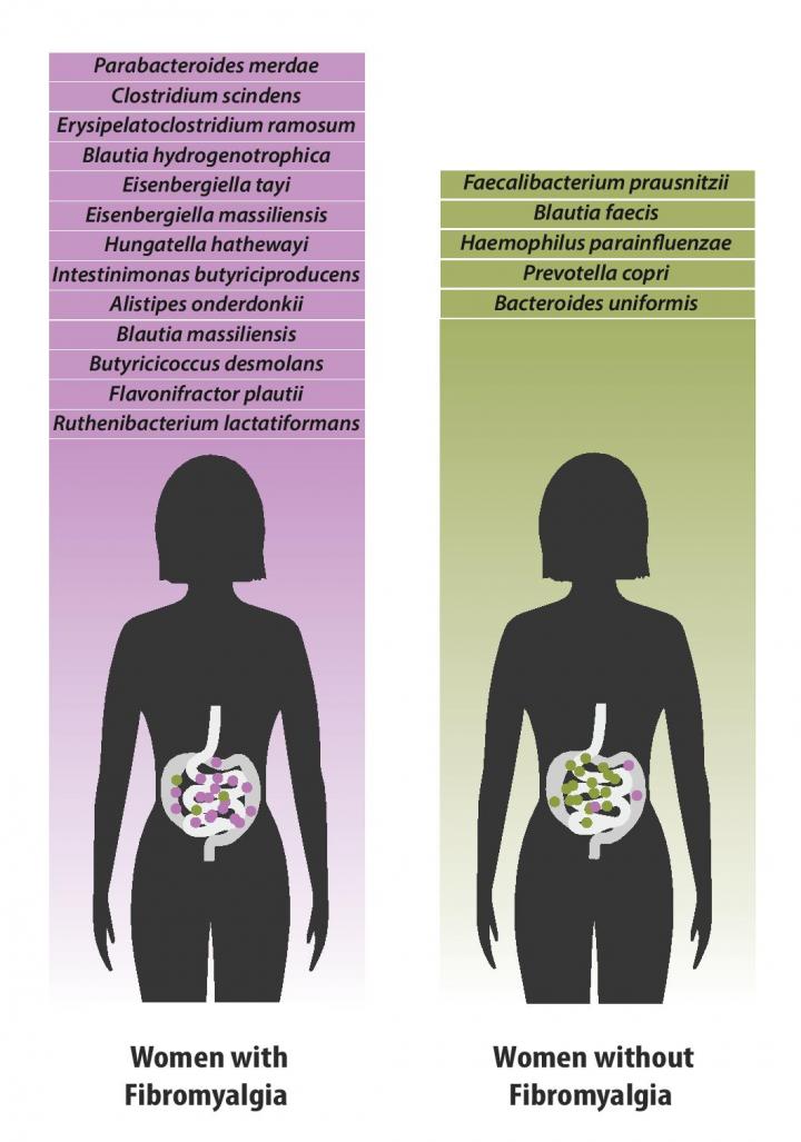 Bacterial species composition