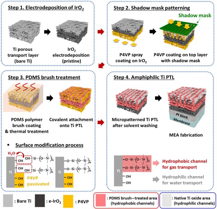 Schematic fabrication procedure of the amphiphilic Ti PTLs