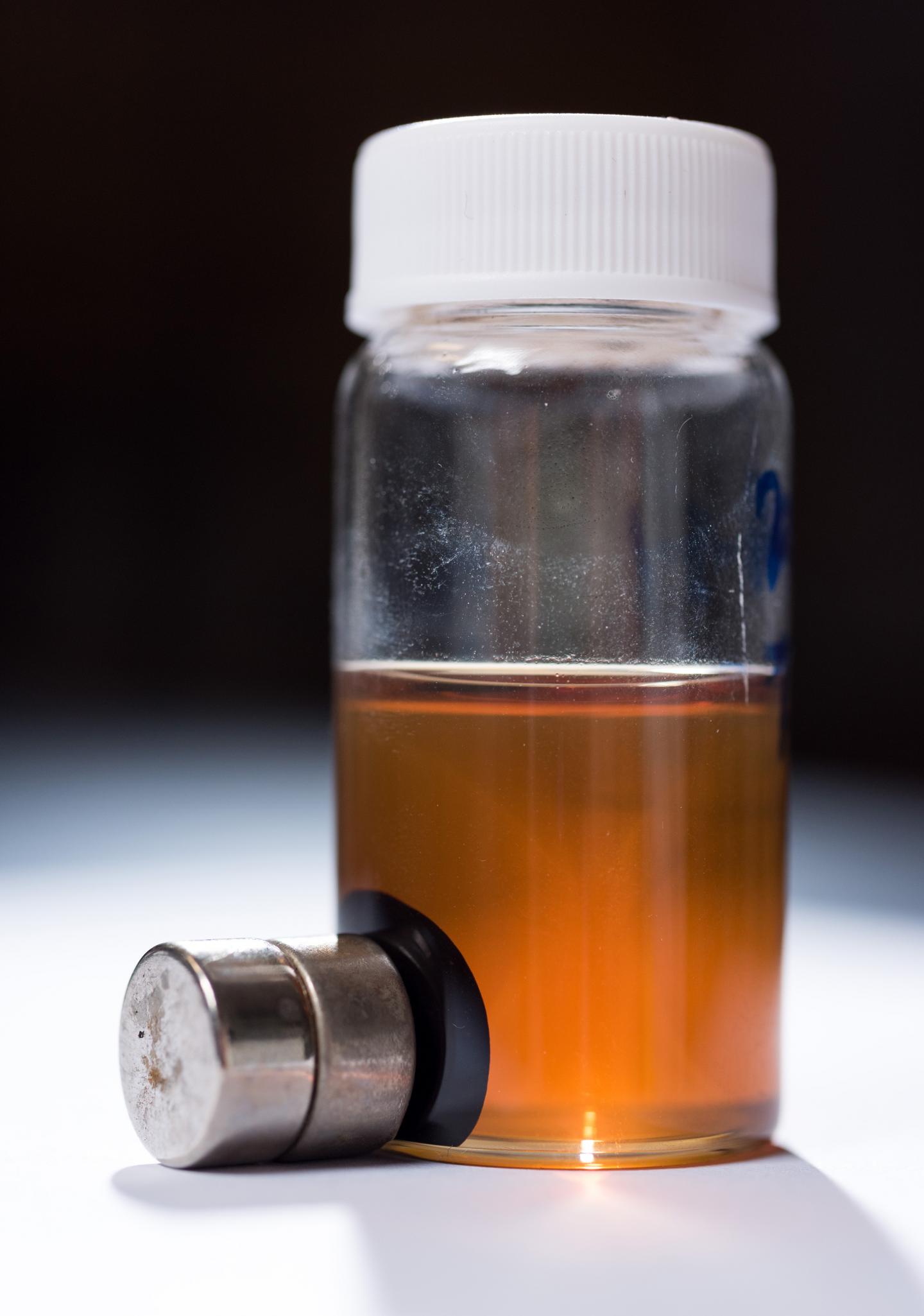 Nanorods Attracted to a Magnet