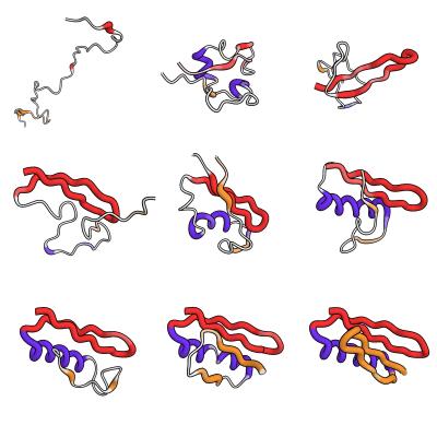 Proteins Share Common Folding Pathways (4 of 4)