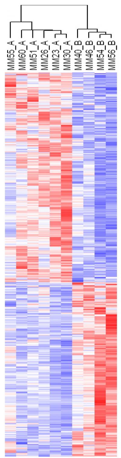 Ocular Melanoma Genetic Test
