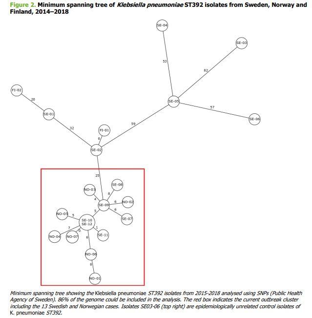Minimum Spanning Tree of <i>Klebsiella pneumoniae</i> ST392 Isolates from Sweden, Norway and Finland