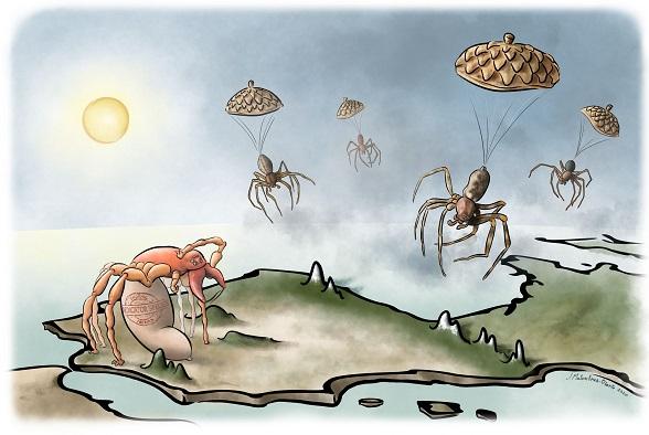 Iberian Spiders' Biodiversity