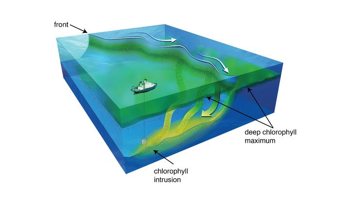 Intrusions graphic