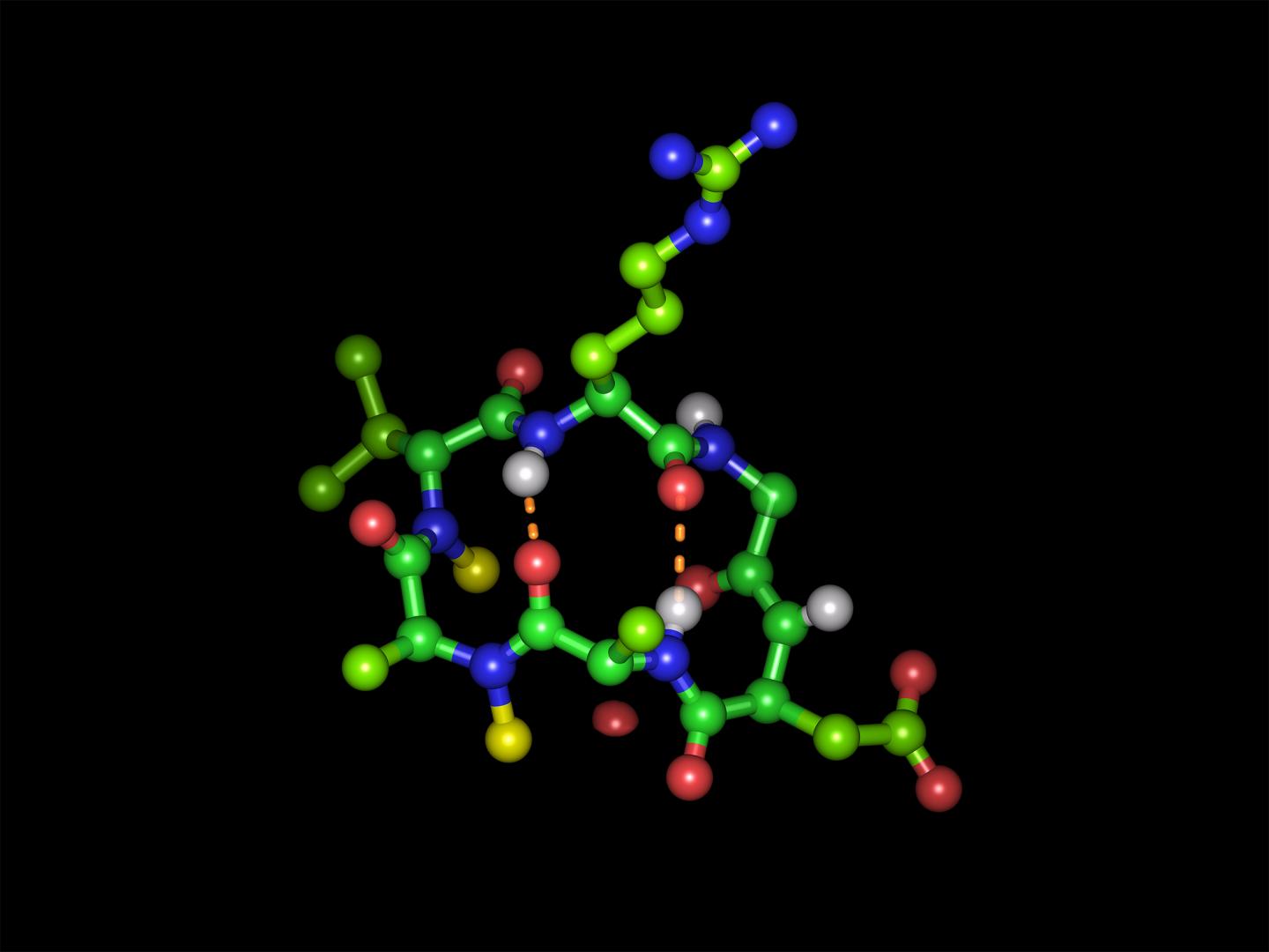 Cyclic Hexapeptide