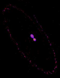 Snapshot of Pluto and Charon during kiss-and-capture.