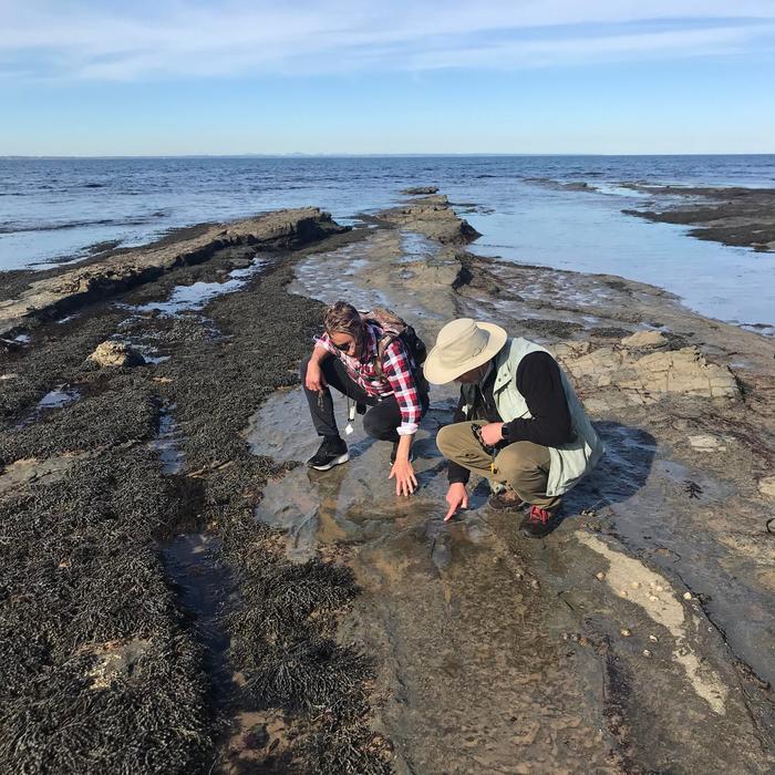 Examining a track