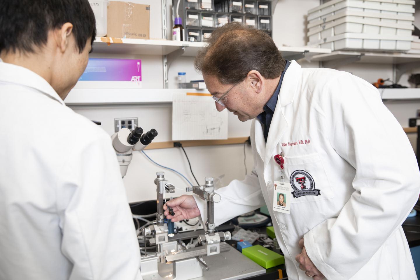 Volker Neugebauer, Texas Tech University Health Sciences Center