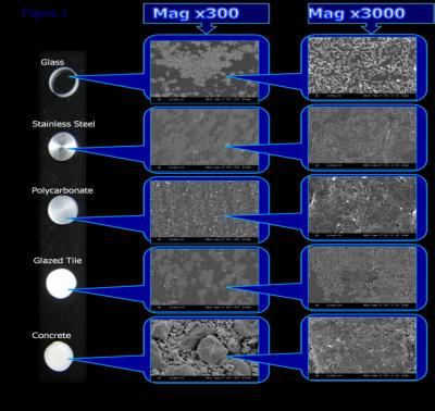 Biofilms on Surfaces