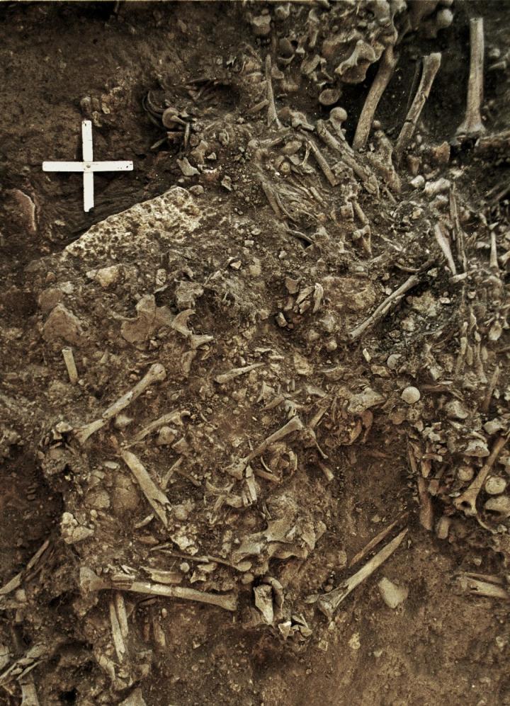 Remains of Ancient Plague Victim