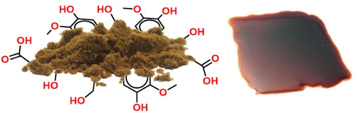 Plastic from Wood - X-ray analysis points way to systematic understanding of lignin