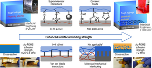 General strategies to enhance the interfacial binding strength in stretchable electronics