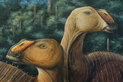 Artist's Rendering of Gryposaurus