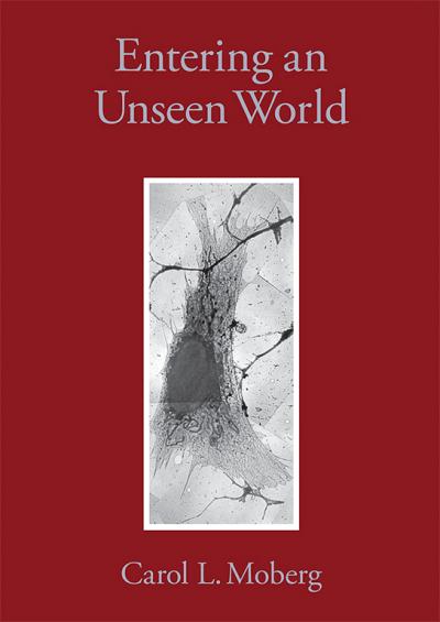 'Entering an Unseen World'