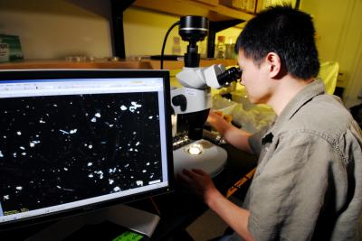 Lin Jiang, Georgia Institute of Technology (3 of 3)