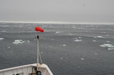 First Antarctic Freeze Brought New Plankton (3 of 5)