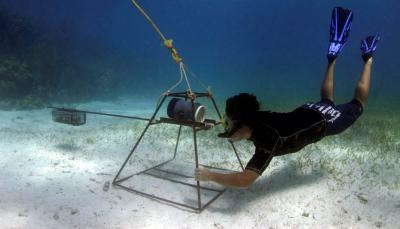 Mark Bond, Stony Brook University