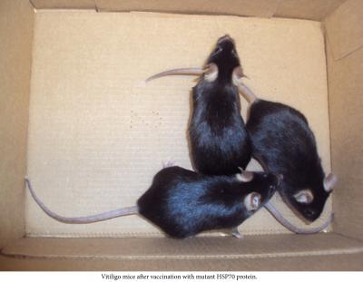 Treated Mice