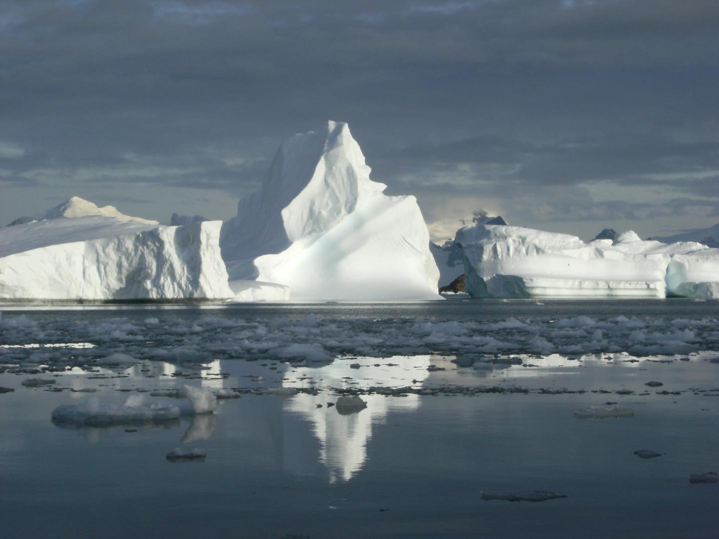 Icebergs Calved off from the Glaciers in Marguerite Bay