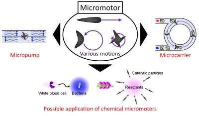 Chemical Micromotors
