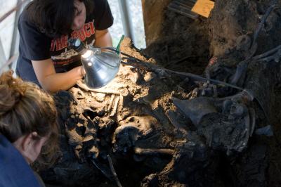 Active Excavation at the La Brea Tar Pits