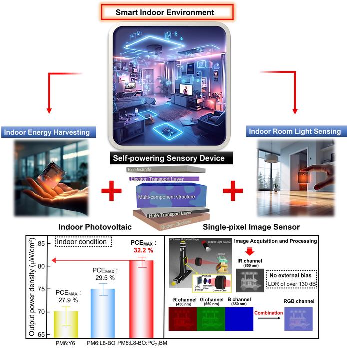 Dual-function integrated image sensor