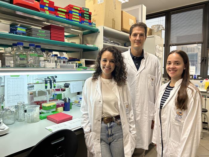 The team of researchers that has revealed the mechanism by which the MAF protein increases the risk of metastasis in breast cancer patients