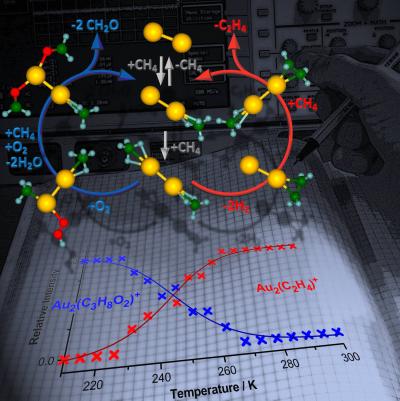 Controlling Methane Combustion to Get Different Products
