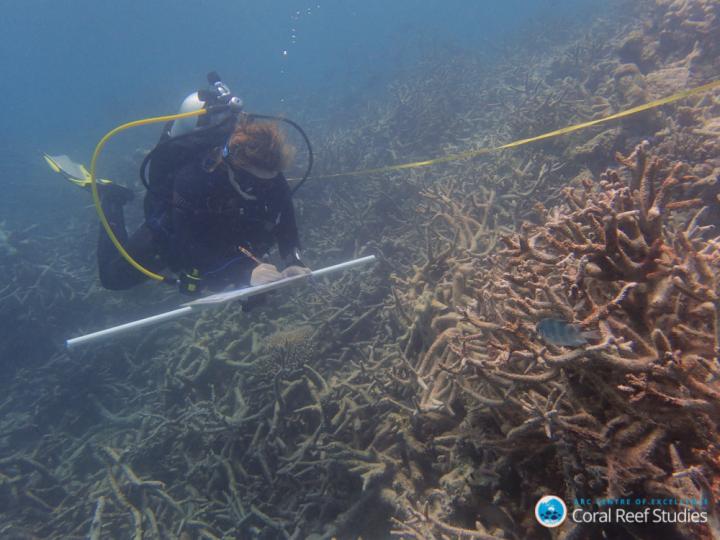 Global Warming Transforms Coral Assemblages