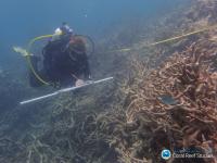 Global Warming Transforms Coral Assemblages