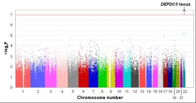 Genetic Variant Linked to Development of Liver Cancer in HCV Carriers (1 of 2)