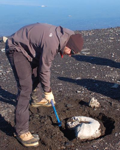 Ammonite Excavation