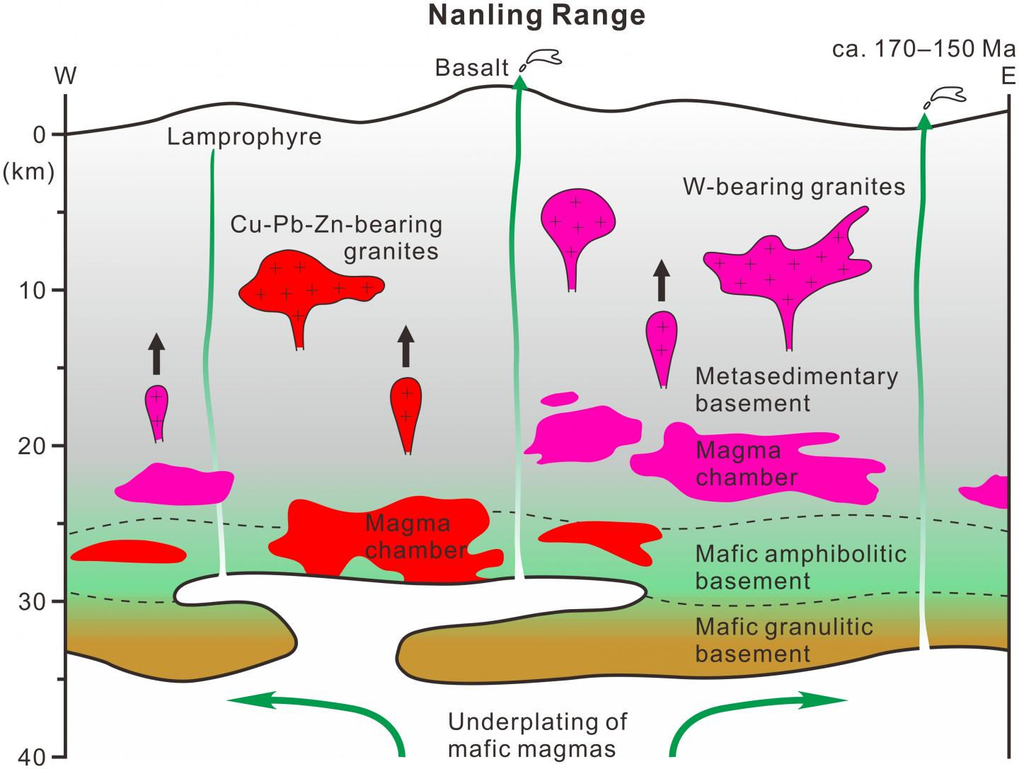 Figure 1: Genetic Model