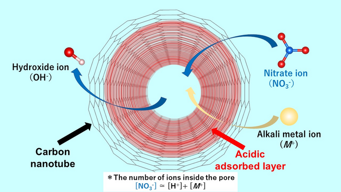 An acidic adsorption layer formed in the nanospace of a carbon nanotube helps in adsorbing nitrate anion impurities