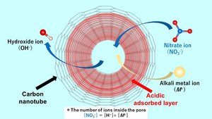 An acidic adsorption layer formed in the nanospace of a carbon nanotube helps in adsorbing nitrate anion impurities