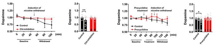 Inhibition of Muscarinic Signaling Alleviates Dopamine Release Reduction Caused by Nicotine Withdrawal